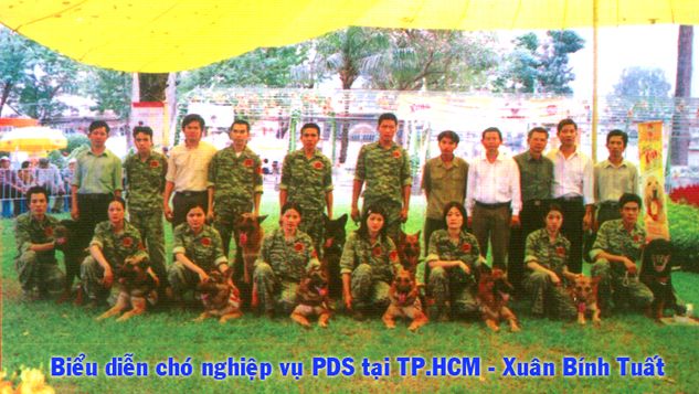 CÔNG TY TNHH KINH DOANH CHÓ NGHIỆP VỤ PDS