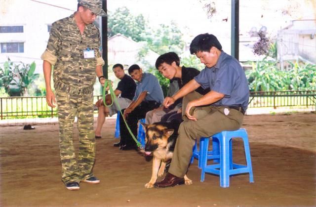 Những chú chó nổi tiếng của PDS - Trung tâm huấn luyện chó só 1 Việt Nam